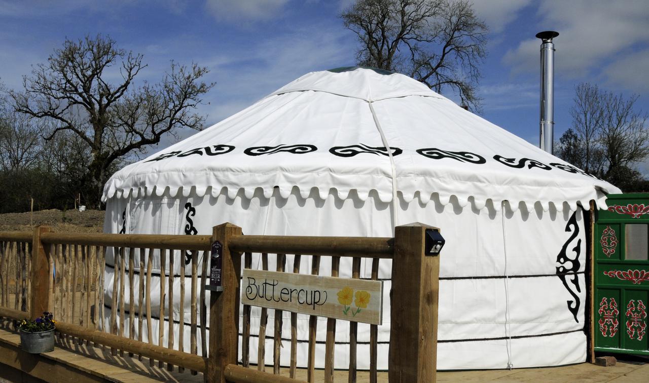 ホテル Glamping On The Hill Mells エクステリア 写真